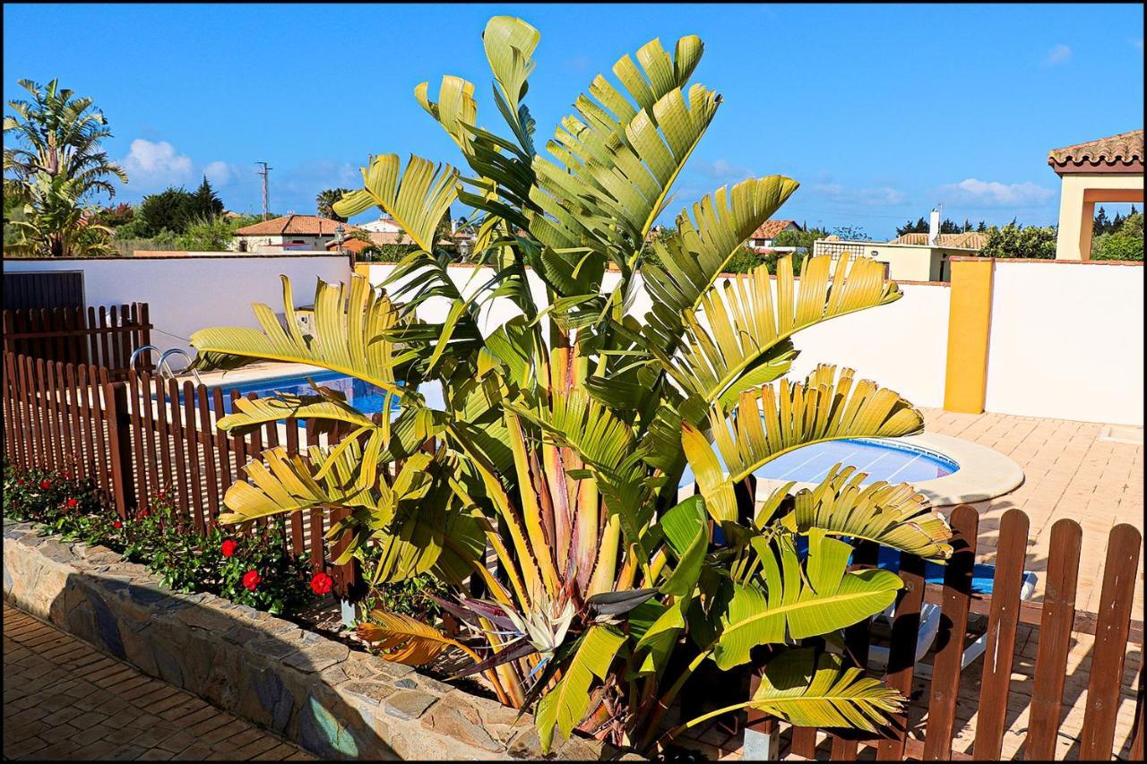 Chalet Con Piscina Privada Conil De La Frontera Eksteriør billede